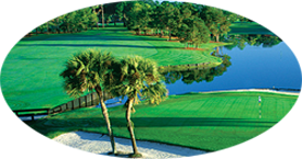 Golf universitaire aux USA Etudes et golf en université aux USA