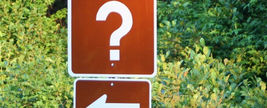 4 questions que vous devez vous poser avant de postuler pour une bourse sportive