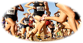 cross country universitaire aux USA