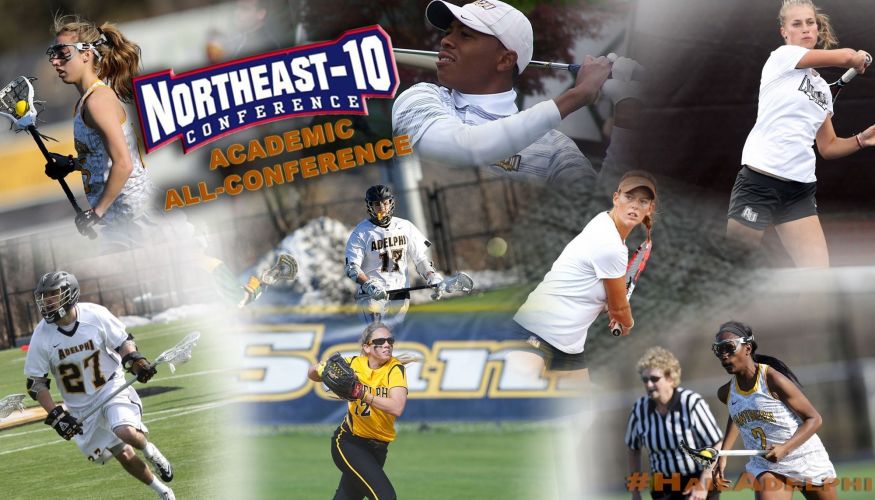 2014/2015 NE-10 Academic All-Conference