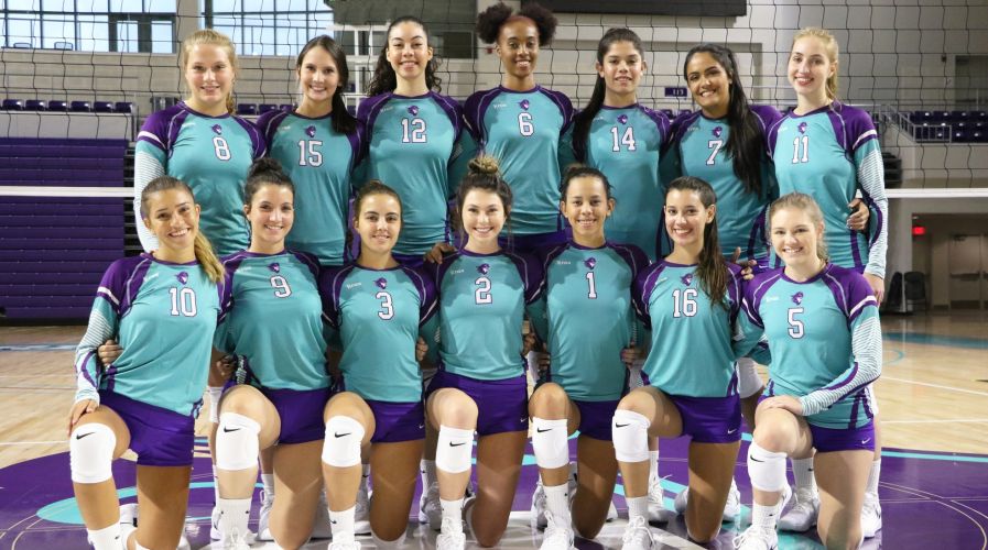 Florida SouthWestern State College Women's Volleyball Team 2019-2020