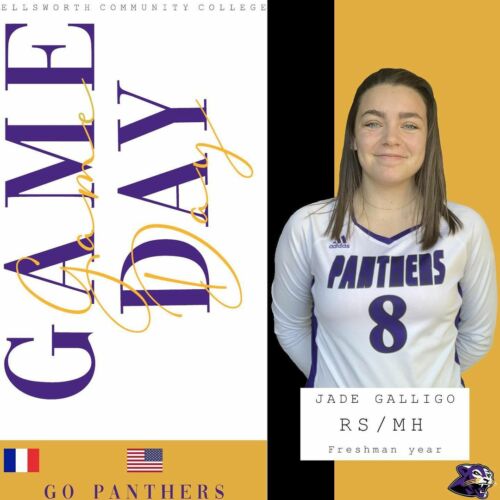 Game Day !