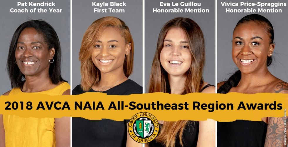 2018 AVCA NAIA All-Southeast Region Awards