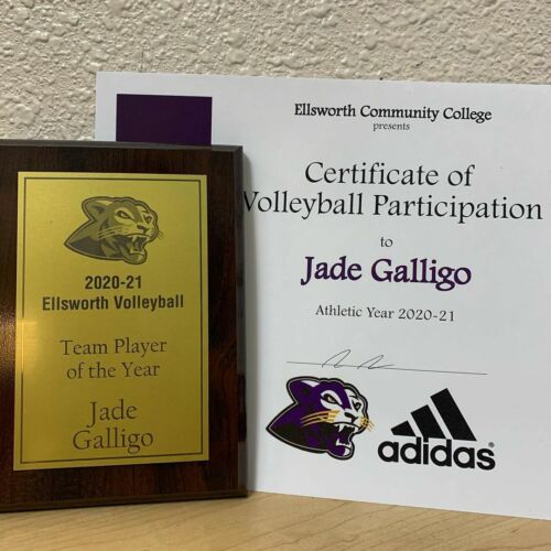 2021 ECC Women's Volleyball team Player of the Year